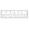 Kaeser Official Technical Service