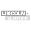 Lincoln Official Technical Service