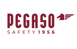 PEGASO Logotip